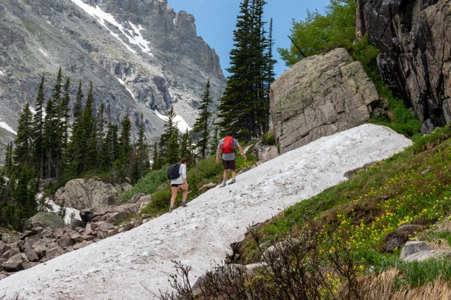 People are hiking on a snowfield with green vegetation