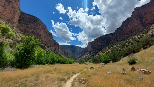 A large sandstone canyon with golden grasses and green trees growing inside.