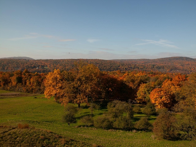 A vast lawn with apple orchard and mountain range in the distance.