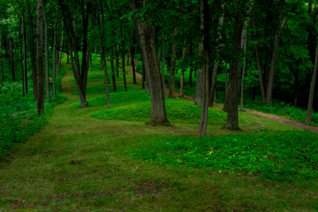 Circular mounds in a single line.