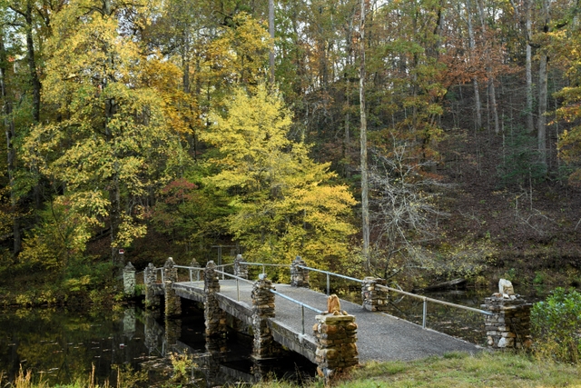 Stone bridge surrounded by brilliant yellow and green leaves