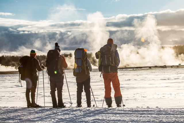 A group of skiers watch bison in the snow and steam.