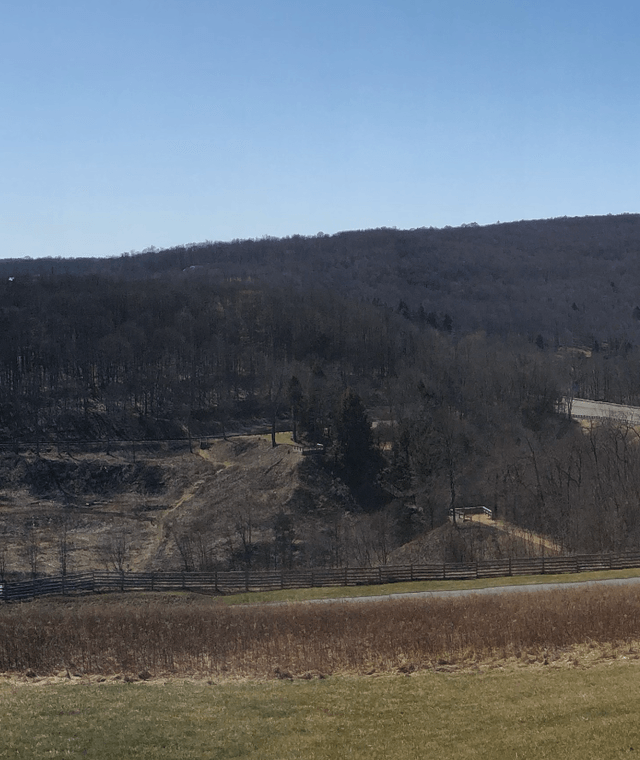 Dam remains