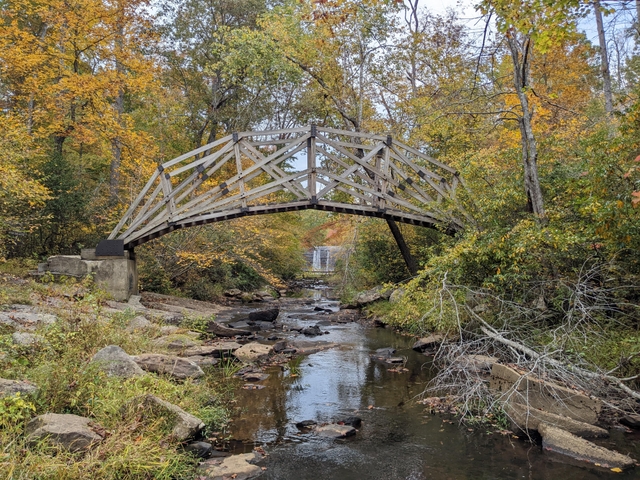 An arched wooden bridge above a creek surround by a yellow and orange fall forest