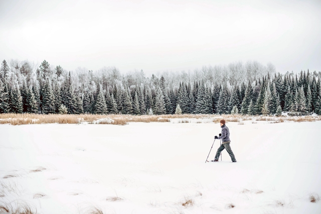 Photograph of person snowshoeing across frozen lake with snowy trees in the background.