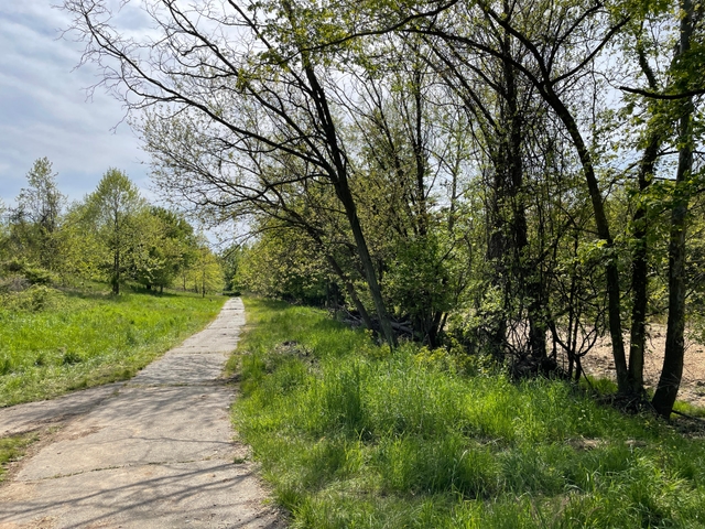 A paved walkway along a wooded shoreline