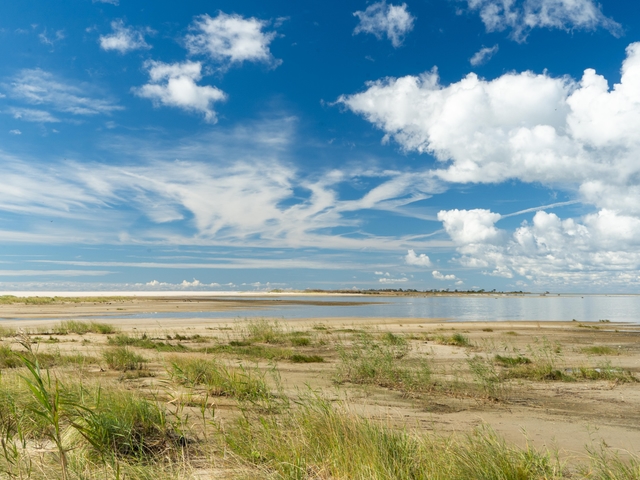 A flat, sandy area on the bay with dune grass in foreground and white clouds and blue sky above.