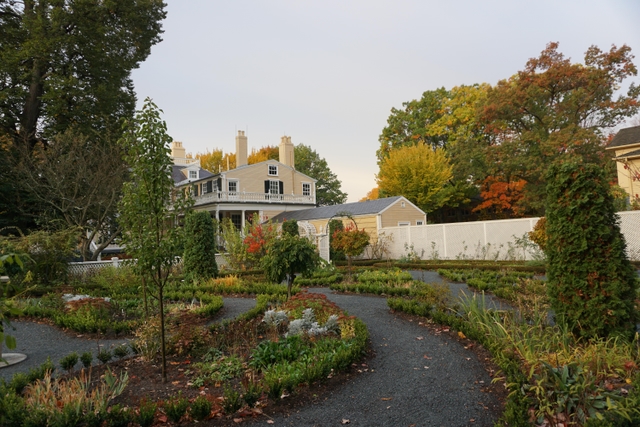 garden back dropped by house