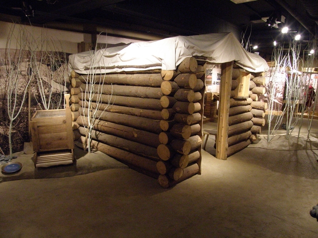 replica of Stampeders winter cabin