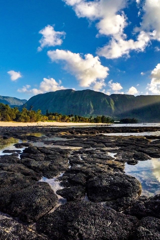 View of pali (sea cliffs) on the north shore of Molokai