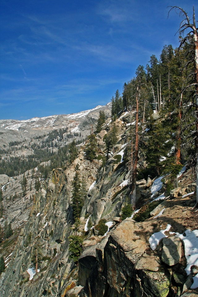 A steep granite slope leads from forest to a bare alpine landscape