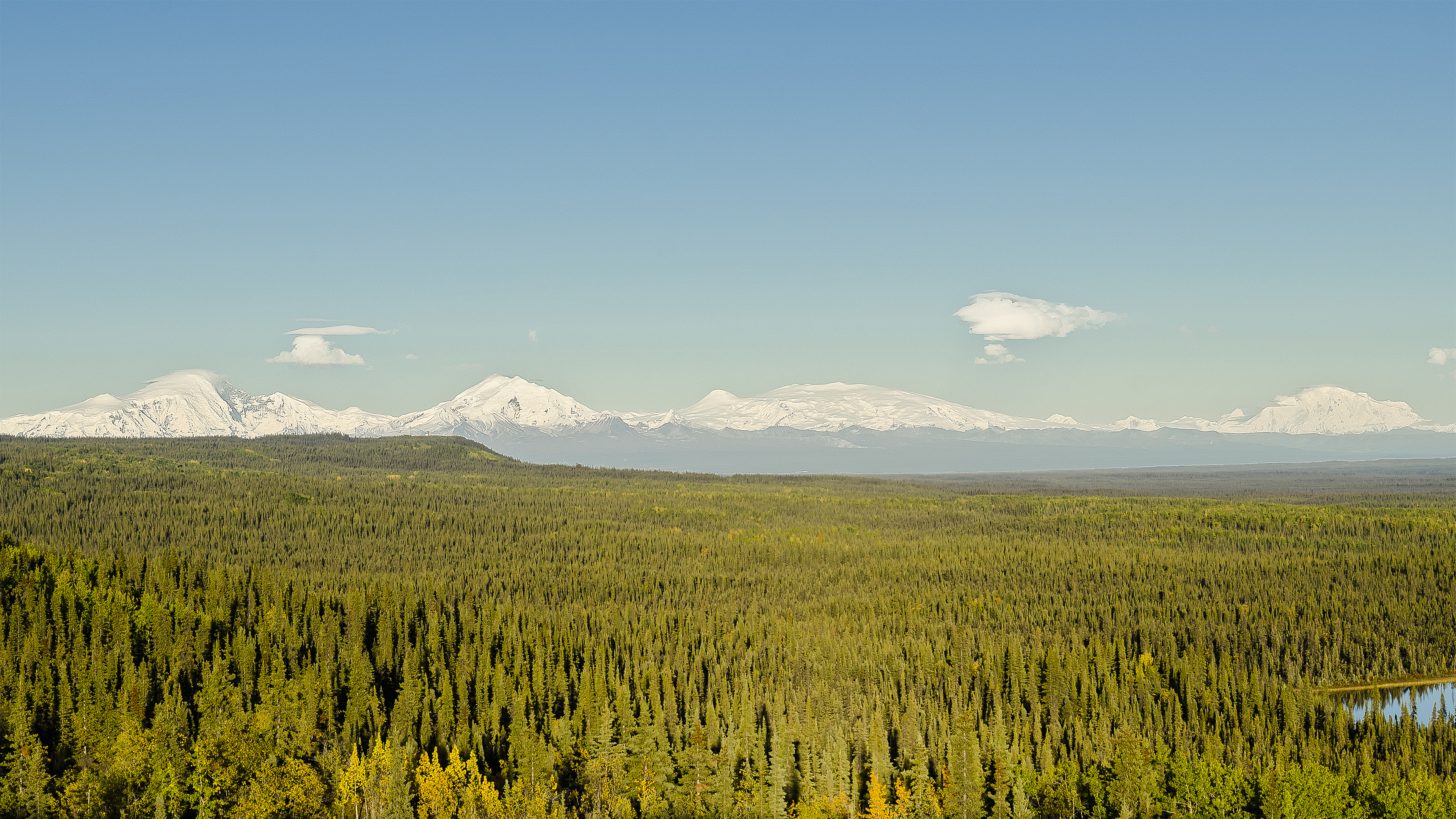 Four large snow covered mountains rise above dense forest into blue skies.