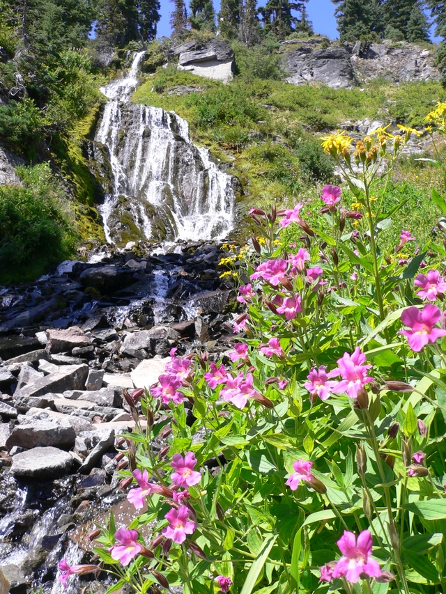 water flowing over Vidae Falls