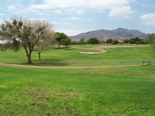 walking trails cross a field of green grass with mountain in the background