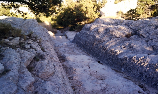 A wagon swale is cut deep into limestone rock with trees in background.