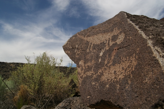 Petroglyph of a small mammal along the Mesa Point Trail in Boca Negra Canyon.