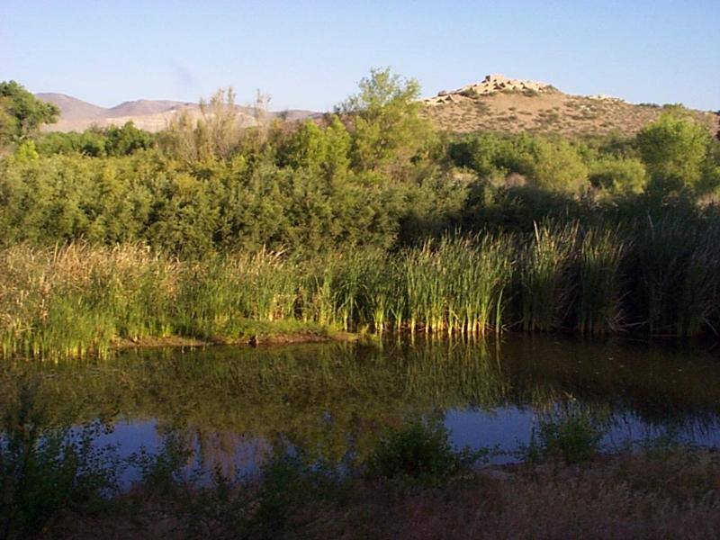 A marsh with open water, cattails, and a masonry dwelling beyond.