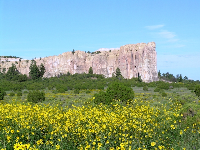 El Morro with Sunflowers