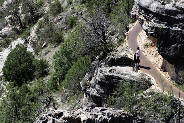 a visitor looks out over Walnut Canyon from the trail