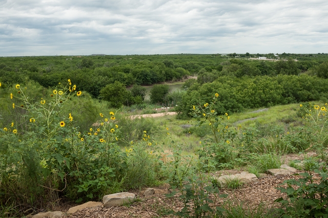 lots of greenery along a river; sunflowers in the foreground