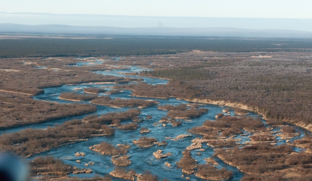 aerial view of braided Alagnak River