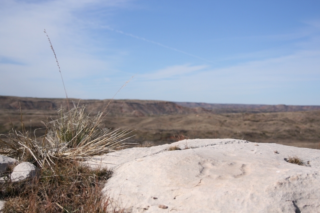 Turtle Petroglyph at Antelope Creek Village Site