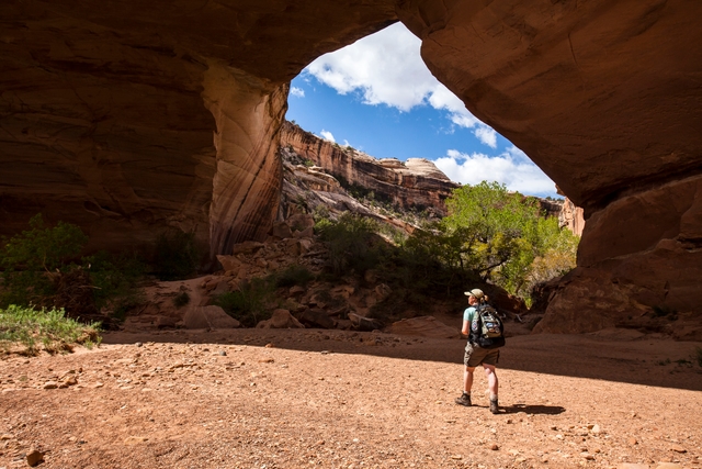 a hiker standing below a massive natural bridge