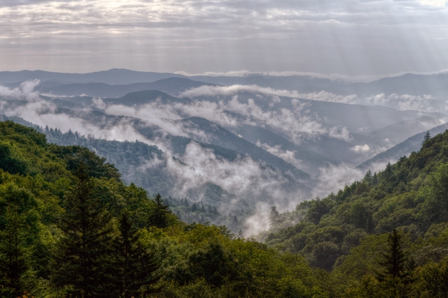 Wisps of fog hang over the forests in the mountains.