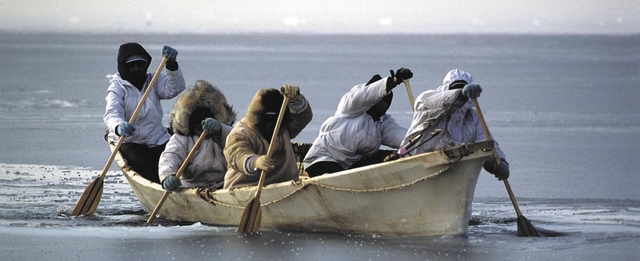 Five people in heavy clothing paddle a skin canoe in icy waters