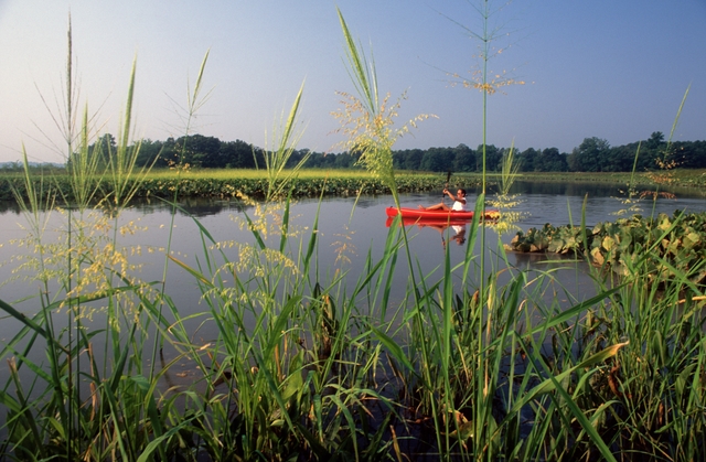 A lone kayaker explores the Patuxent River