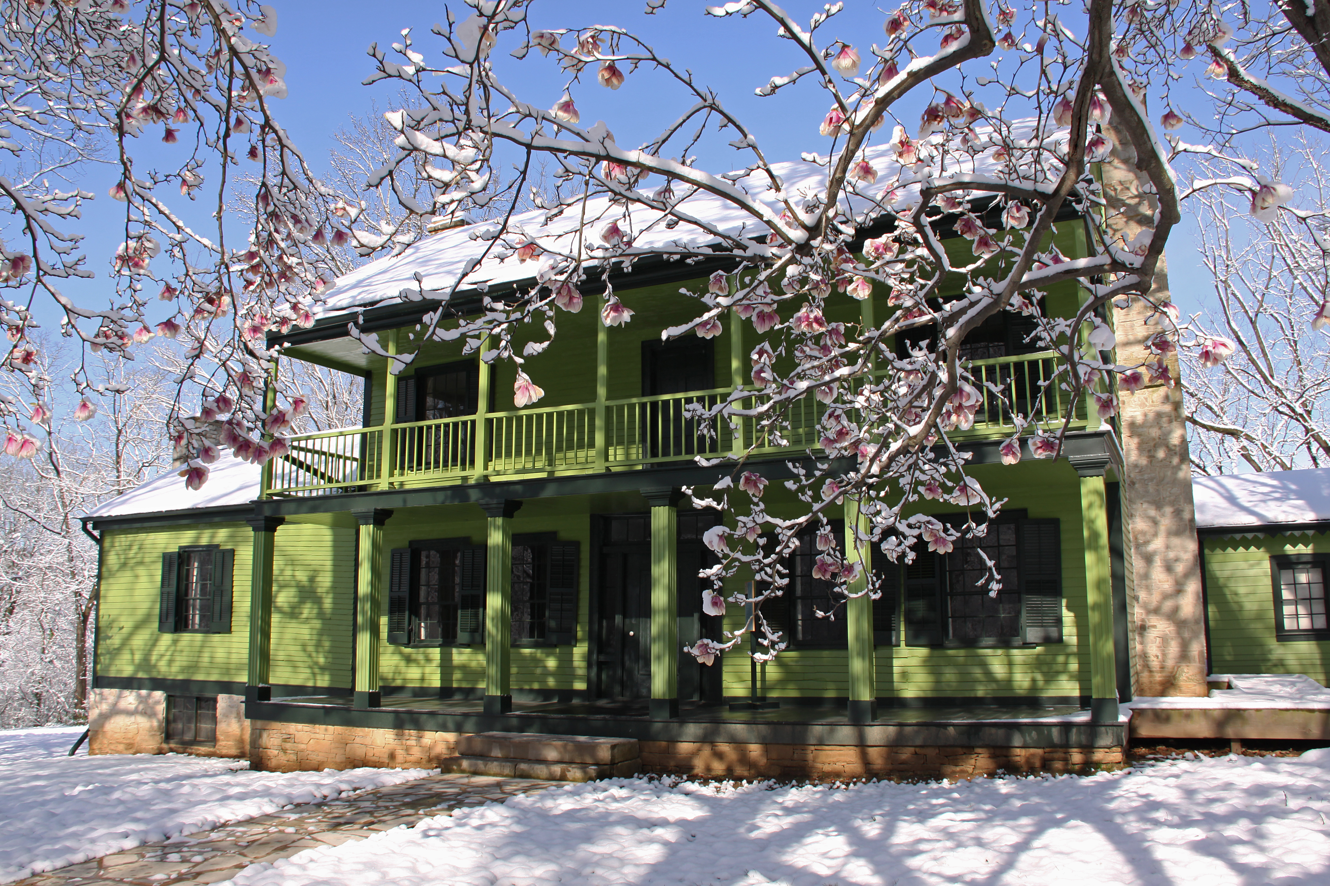 View of house from front with budding tree branch in foreground that is also covered in ice.