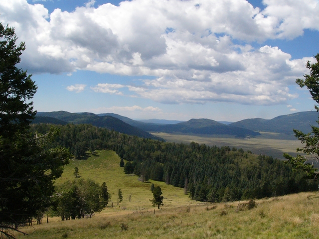 a view of the Valles Caldera from Cerro Grande