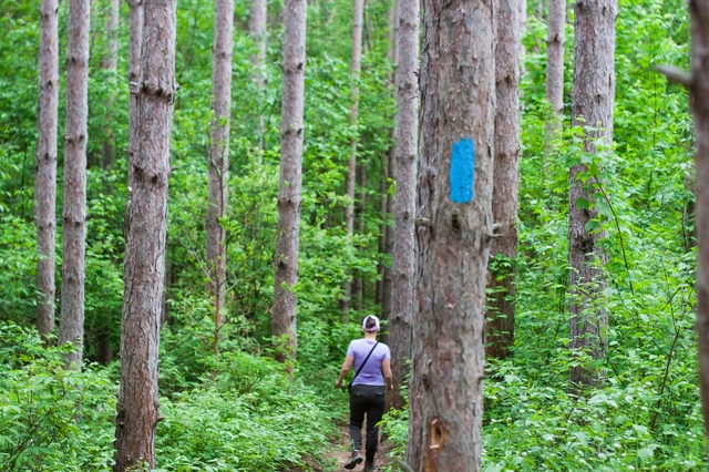 Hiking on the North Country Trail