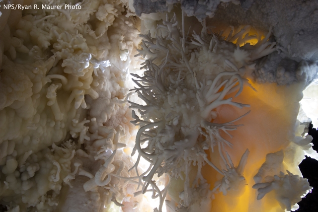 Twisty helictites growing off a stalactite