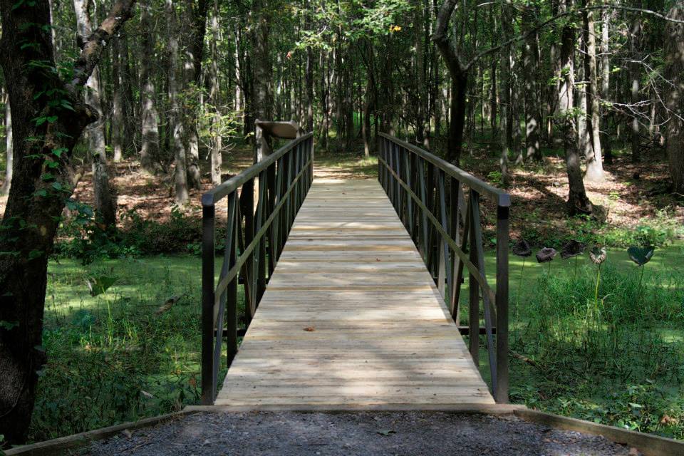 the Alligator Slough footbridge