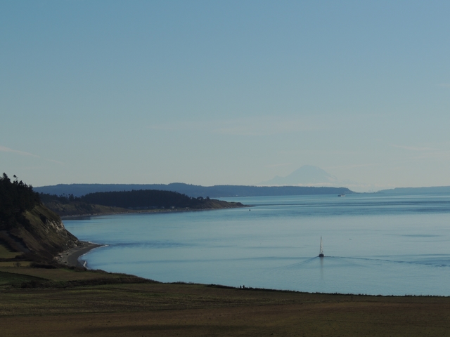 View from the Bluff Overlook