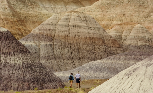 Two visitors walk the Blue Mesa Trail between blue, purple, and grey badlands.