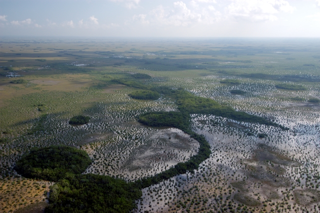 An aerial view of the landscape transition from Sawgrass to Florida Bay.