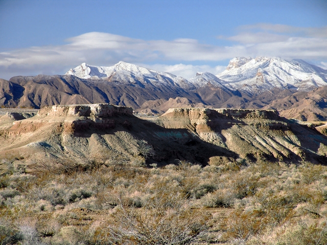 Tule Springs during winter