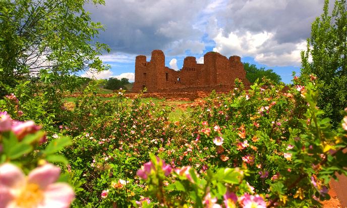 Pink flowers and green foliage frame the roofless remains of a stone mission.