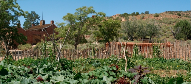 A lush garden filled with settler and native crops grows in front of a sandstone fort