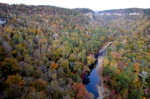 Fall Season in the Canyon