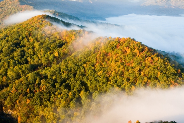 View from the Pinnacle Overlook