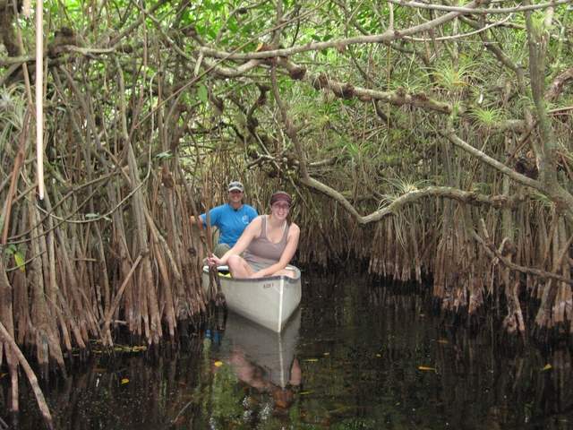 two visitors in a canoe go through mangrove tunnels on the Turner River