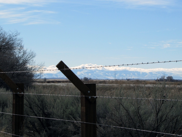 A view from Minidoka through the barbed wire fence.