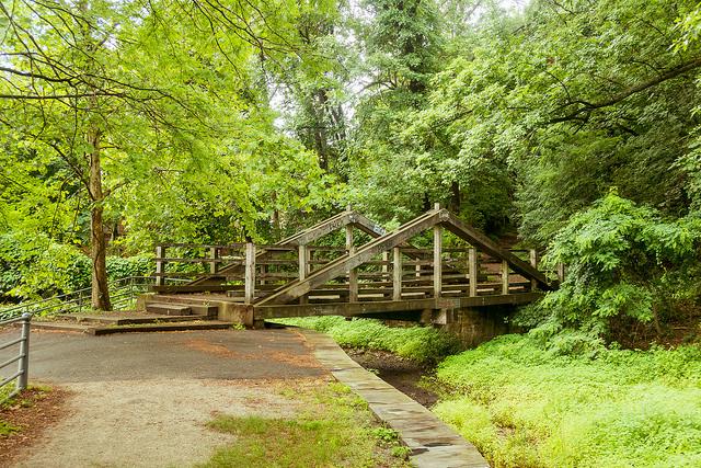 summer foliage surrounding a bridge