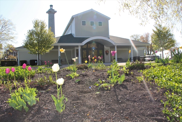 Tulips in a variety of colors in a garden in front of a light tan building that has an arched entry