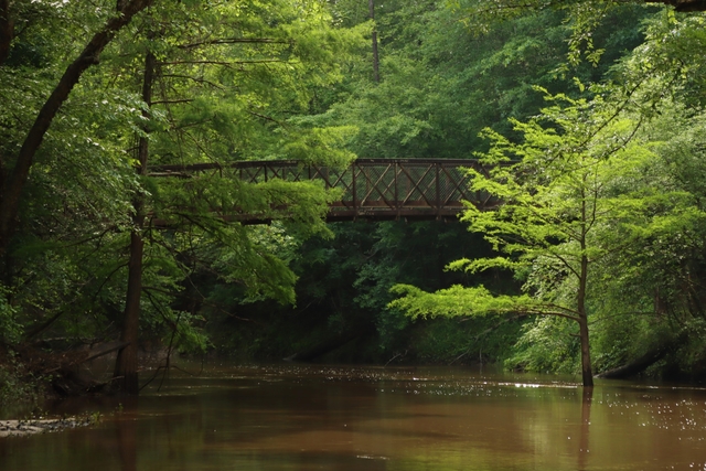 An iron bridge above a murky creek surrounded by dense woods.