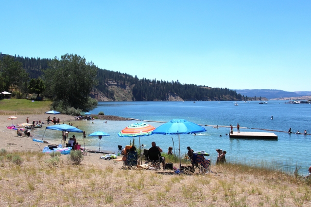 Scattered beach umbrellas shade various people sitting in chairs at a lakeside beach.