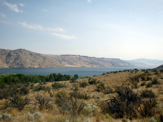 Tan and green plants create a hillside overlooking a blue lake, grey mountains, and a light blue sky